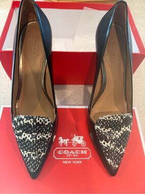 Coach Black Leather Pointed Zayley Pumps